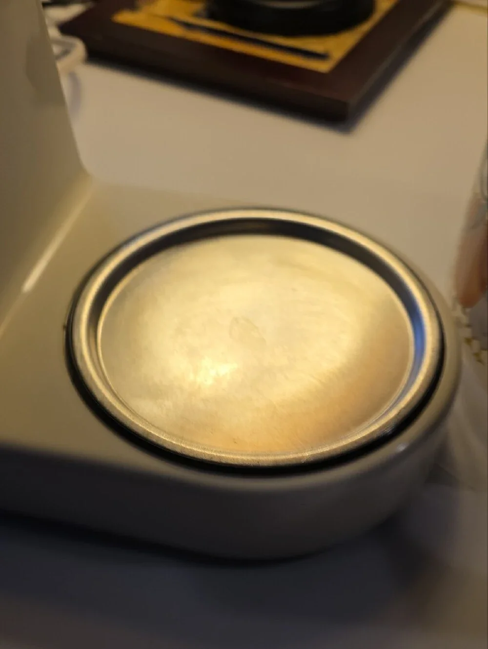 RARE Proctor-Silex Marmalade Goose Coffee Maker